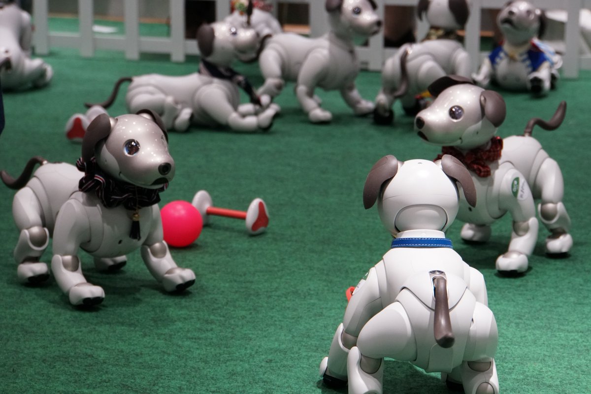 おすすめの人気ロボット犬６選！選び方、注意点もご解説 | ロボットプラザ 公式サイト
